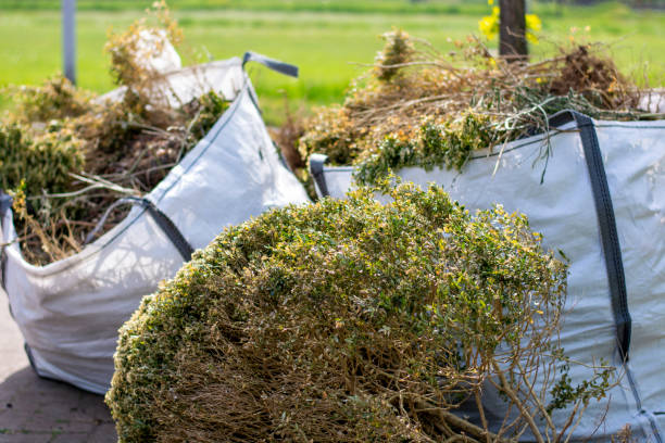 Best Household Junk Removal  in Mineville, NY